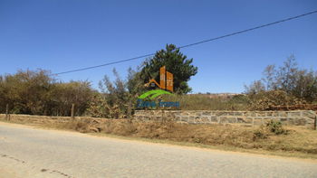Location Beau terrain 4Ha Lohanosy Ambohijanaka Antananarivo Madagascar