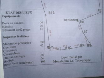 Le plan du terrain