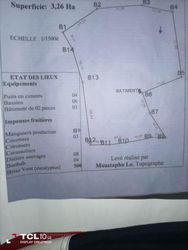 Le plan du terrain