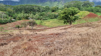 Terrain Unique de 2533 m² à Paopao, Moorea (Lot D)