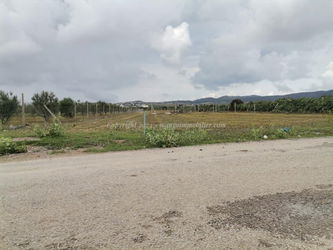 Vente Lot Terrain Sidi Jedidi Hammamet Tunisie