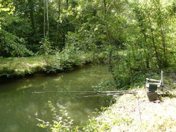 Etang 1