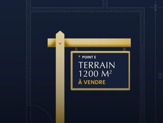terrain