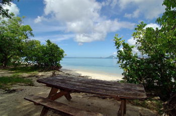Plage de l'Anse Caritan à 10 min à pied