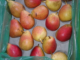 POIRE