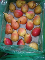 POIRE