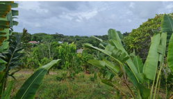 La nature