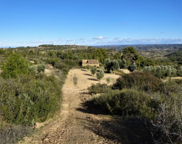Vente Terrain in Calaceite Aragon 0855 Teruel Espagne