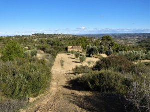 Vente terrain in calaceite aragon 0855 Teruel Espagne