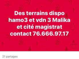 Vente Vent terrains senegal Anvers Belgique
