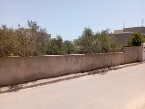 Terrain à vendre à Hammamet / Tunisie