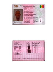 Permis de conduire