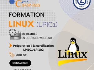 Formation LINUX LPIC 1 Tunis Tunisie
