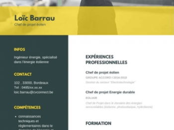 Exemple de cv