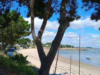 Location maison morbihan damgan kervoyal 300m plage