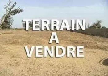 Vente Terrain 2500m2 Diamniadio Dakar Sénégal