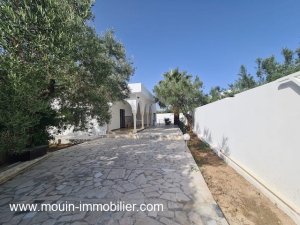 Location villa daniella hammamet zone théâtre Tunisie