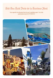 Sidi Bou Saïd joli appartement 3 suites