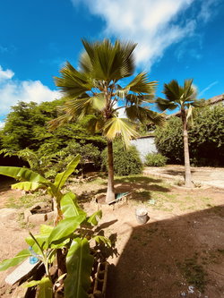 CÔTÉ JARDIN