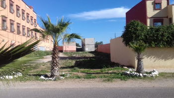 Vente Terrain 140 m route Tifnit pas loin Sidi Bibi Agadir Maroc