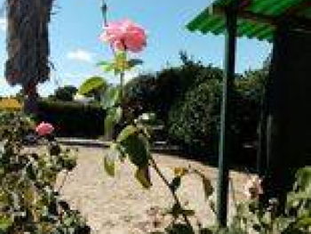 Vente Terrain/ ferme Portugal Setubal
