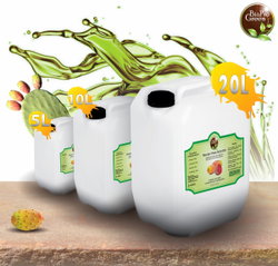 Producteur d'huile de graine de figue de Barbarie biologique pure en vrac