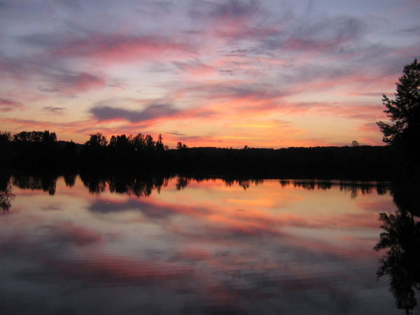lac3