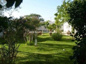 Vente Villa Eucalyptus Hammamet Tunisie