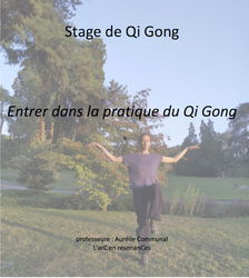 Stage Qi Gong Genève