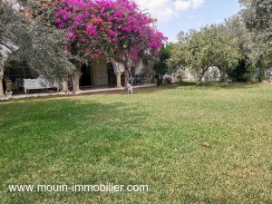 Location villa berne hammamet Tunisie