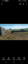 Terrain