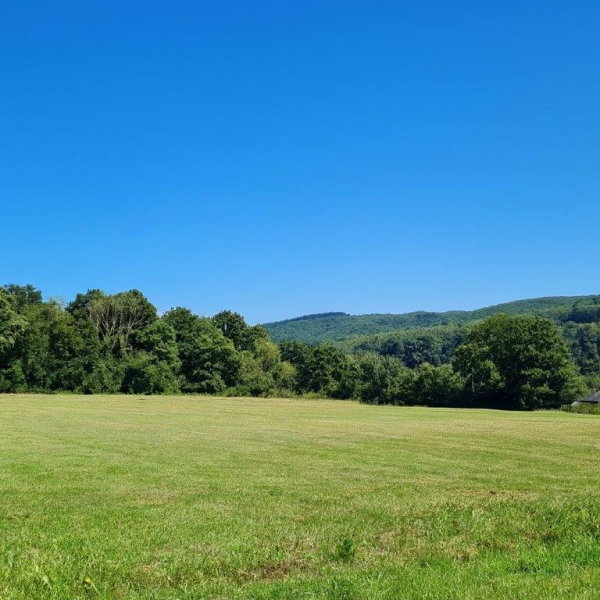 Villa moderne avec piscine
