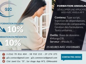 Formation 100% pratique Langage Angular9 L&#039;Ariana Tunisie