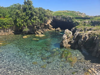 MARABOUT DE SUISSE