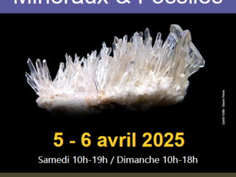 Bourse minéraux fossiles 2025 Club Cristal de Roche