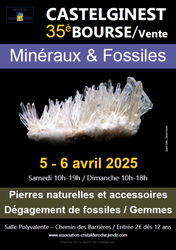 Bourse minéraux fossiles 2025 Club Cristal de Roche