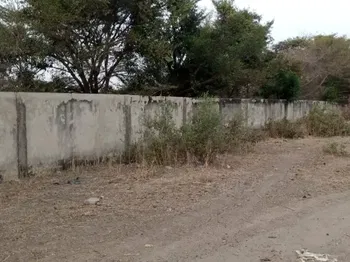 Vente Terrain titre foncier Saly Portudal Sénégal