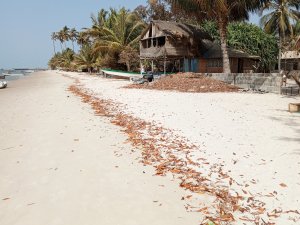 Annonce Vente Terrains Exceptionnels l’Île CARABANE Ziguinchor Sénégal