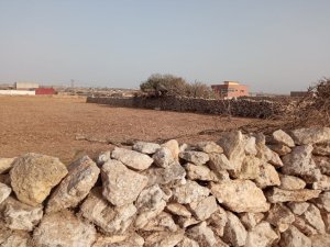 Vente Terrain titré d&#039;une superficie 1 500 mètres carrés Safi Maroc
