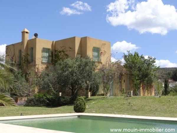 Vente Villa Cosmos Zone Craxi Nabeul Tunisie