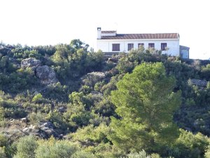 Annonce Vente maison rurale in maella aragon 0862 Saragosse Espagne