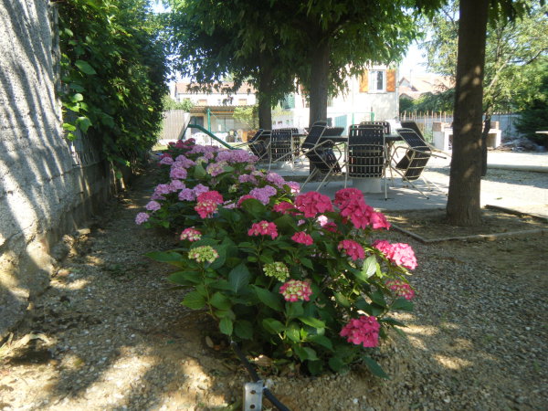 salon de jardin ombragé
