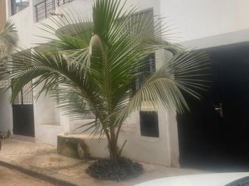 Annonce Vente Villa r+2 cité iIsra belair Dakar Sénégal