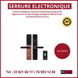 Serrure électronique
