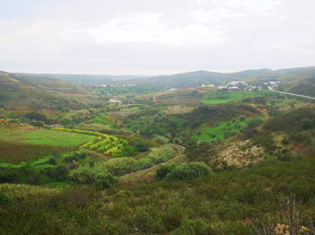 Vente Propriétaire vend Terrain ALGARVE pour construction Tavira Portugal