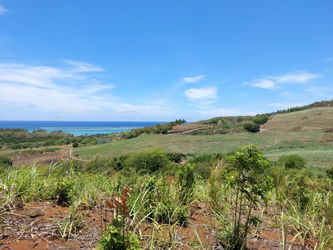 Vente TERRAIN 55 PERCHES VUE MER SITUE BEL OMBRE ILE MAURICE