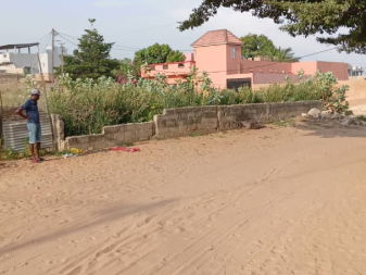 Vente 1 terrain 300 metres carres saly Saly Portudal Sénégal