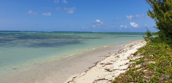 Vente Beau terrain 100m plage île sainte-marie Madagascar Salegy