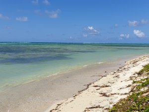 Annonce Vente beau terrain 100m plage île sainte-marie madagascar salegy