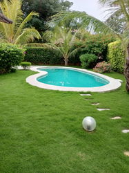 Beau jardin